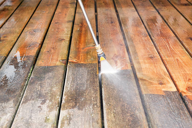 Best Roof Washing  in Elkins, AR